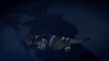 GIF by Power Rangers